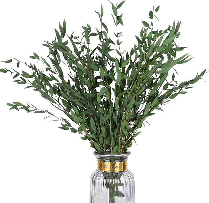 Real Eucalyptus Stems Greenery Decor 20PCS 17" Dried Willow Eucalyptus Plant Preserved Greenery Stems for Home Vase Filler Wedding Flowers Arrangement Spring Decorations