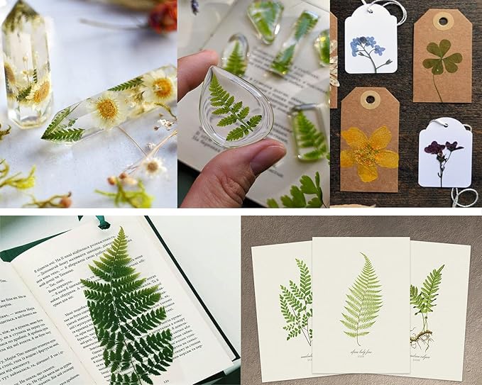 85PCS Real Dried Pressed Leaf Leaves, YouthBro Green Nature Plant Herbarium Set for DIY Jewelry Candle Soap Vase Making Nail Card Scrapbook Art Craft Floral Decors,28 Styles Green Mixed