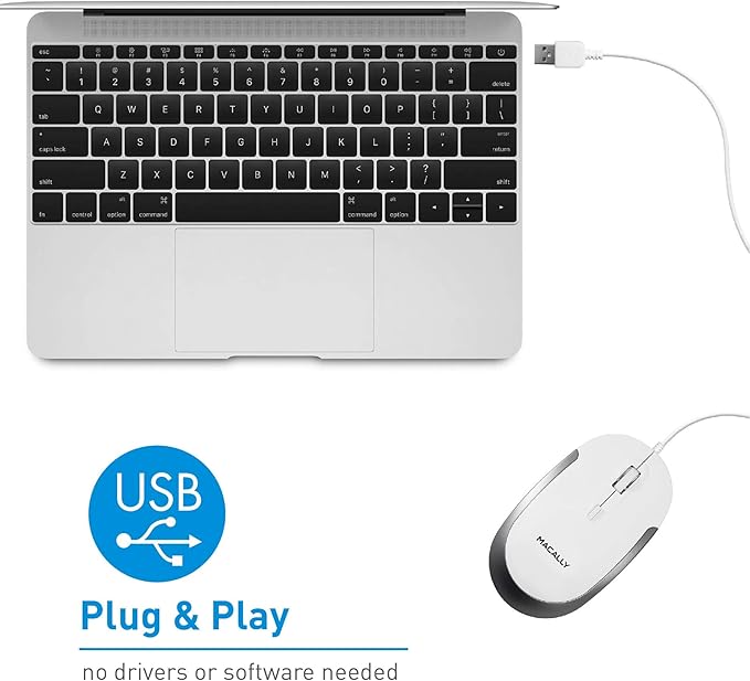 Macally Mini Wired Keyboard and a Quiet Wired Mouse, Office Essentials