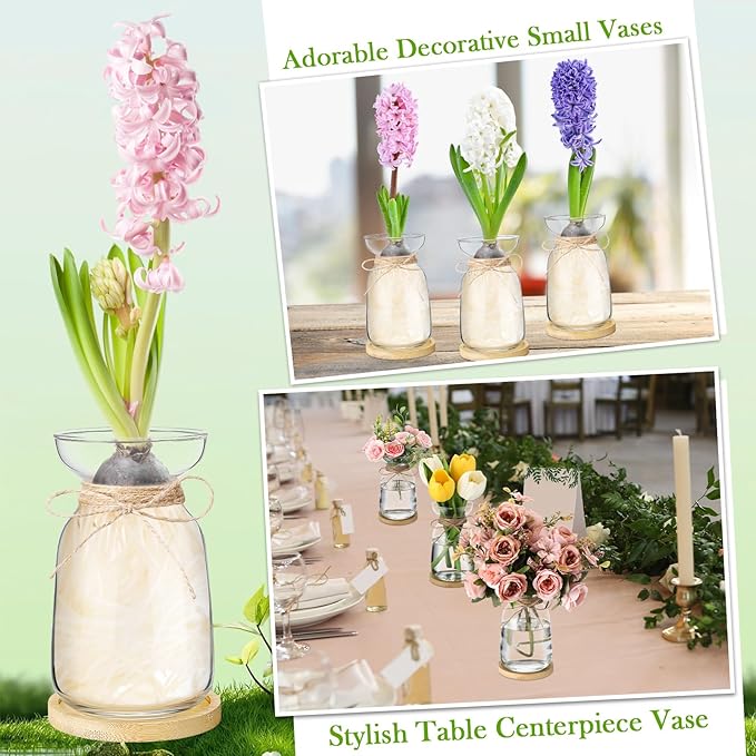 4 Sets Hyacinth Glass Vase with Bamboo Coaster Rope Hyacinth Avocado Growing Bud Vase Decorative Glass Flower Vases for Centerpieces Bulb Forcing Plant Containers Home Office Table Decoration
