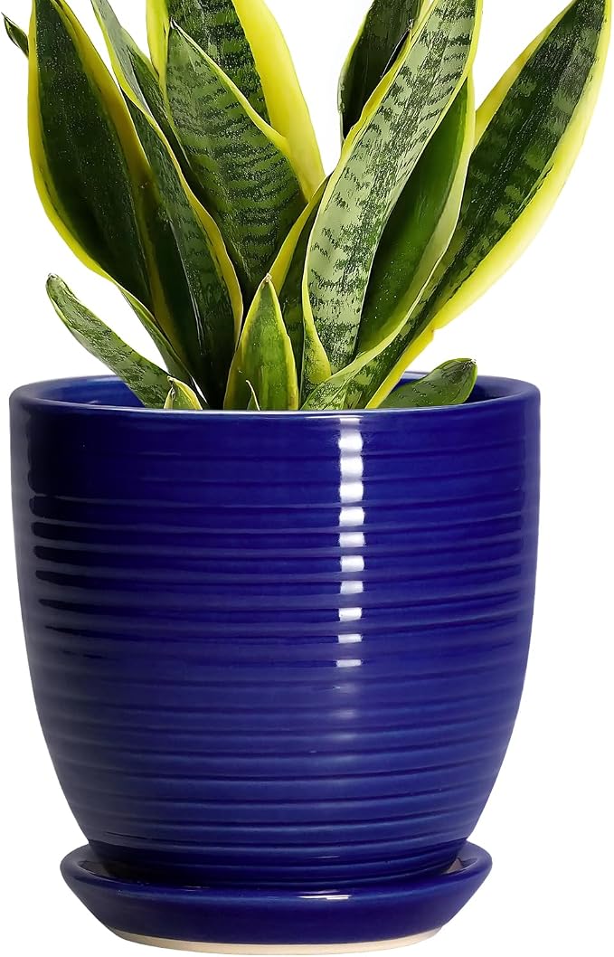 Ceramic Plant Pot - 6 Inch Pots for Plants, Round Ceramic Planters with Drainage Hole and Saucer, Decorative Flower Pots for Indoor Plants, Room Desk Decor, Housewarming Gifts, Glossy Blue