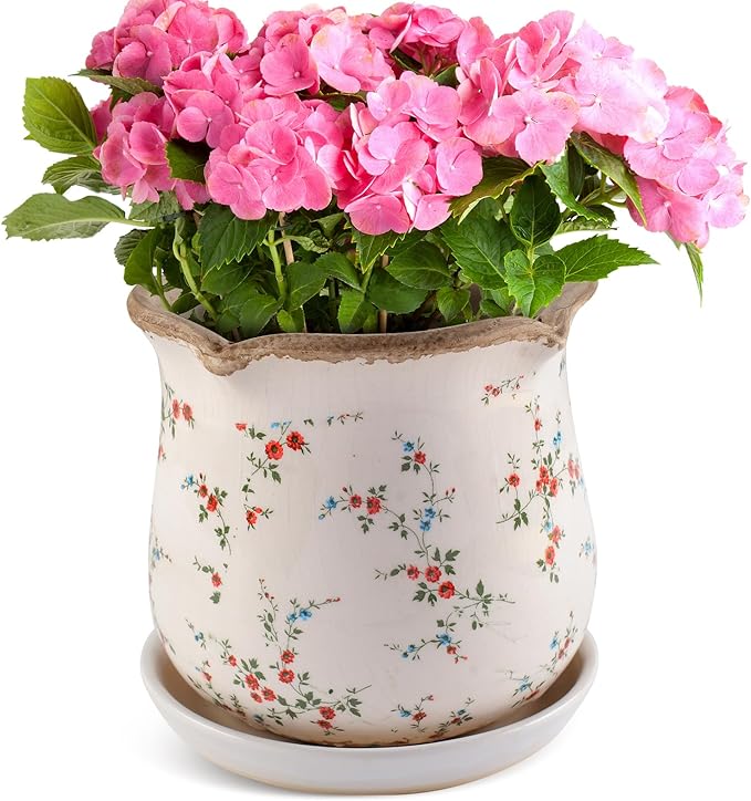 Ceramic-Planters-for-Indoor-Plants with Saucer, 6 inch Vintage Ice Crackle Glaze Plant Pots with Drainage Holes, Decorative Flower Pots for Outdoor Garden Home Decor, Tuscan Pot for Plant