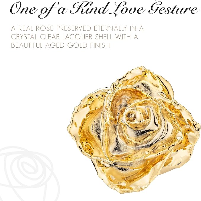 Forever Rose Enchanted Preserved with Real 24K Gold Rose Lasts Forever | Includes Wood Base & Glass Dome | 24K Gold Dipped Rose Assembled by Hand in The USA | Romantic Gifts for Women