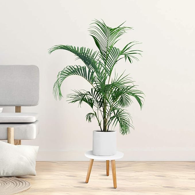 Uneedem Plant Stand Indoor, Mid Century Modern Small Round Plant Table for Flower Pots, 8.9" Tall Plant Holder Wood Stool for Living Room (2 Pack)