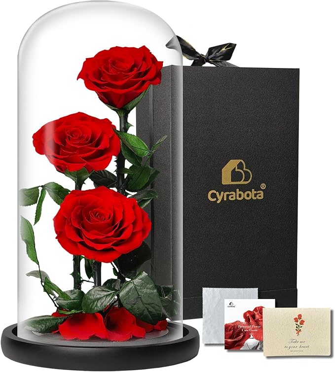Forever Rose in Glass Dome,12.3 Inch Preserved Real Roses Gift, Long Lasting Eternal Flowers for Women, Mom, Wife, Valentine's Day, Anniversary, Red