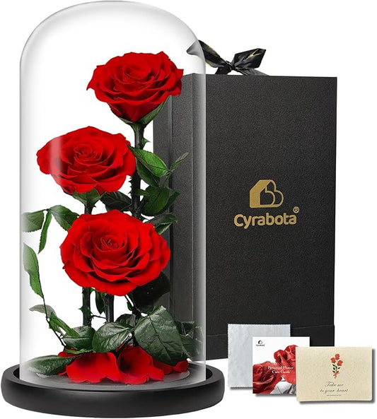 Forever Rose in Glass Dome,12.3 Inch Preserved Real Roses Gift, Long Lasting Eternal Flowers for Women, Mom, Wife, Valentine's Day, Anniversary, Red