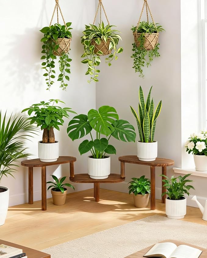 Concave Wooden Plant Shelf Indoor, 3 Tiers Deformable Oval Plant Stand, Heavy Duty Long Flower Pot Stand for Multiple Plants, Low Plant Holder for Patio Balcony Living Room Office
