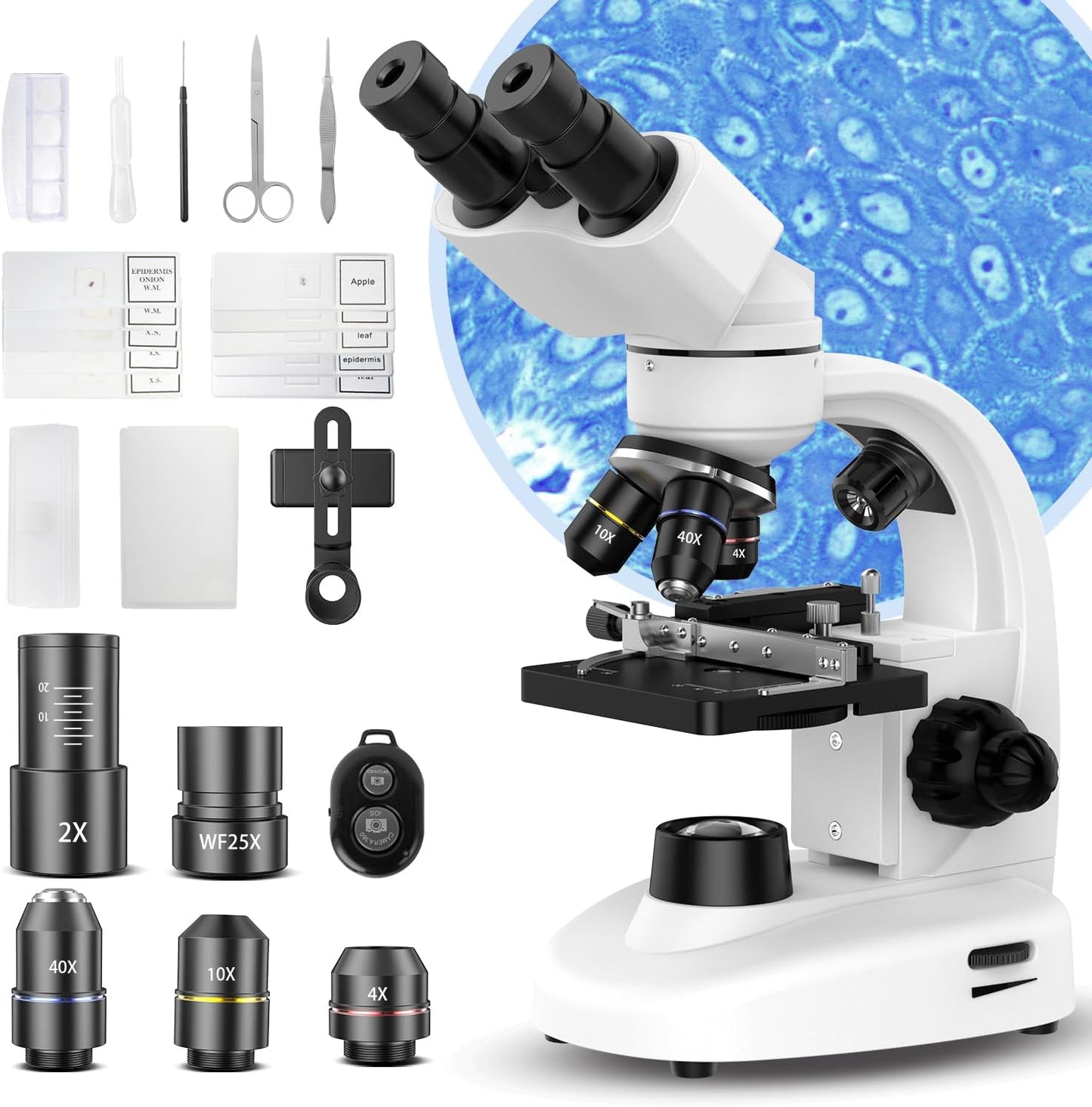 Skiennix Compound Binocular Microscope - 40X-2000X Magnification with LED Illumination | Ideal for Lab, School & Home Education