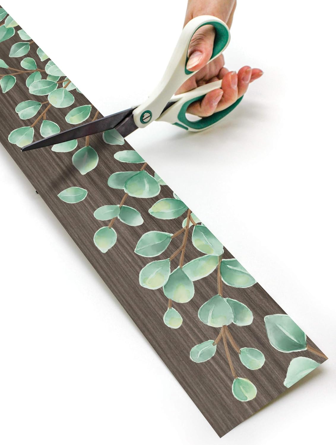 Teacher Created Resources Eucalyptus Straight Rolled Border Trim - 50ft for Bulletin Boards & Classrooms