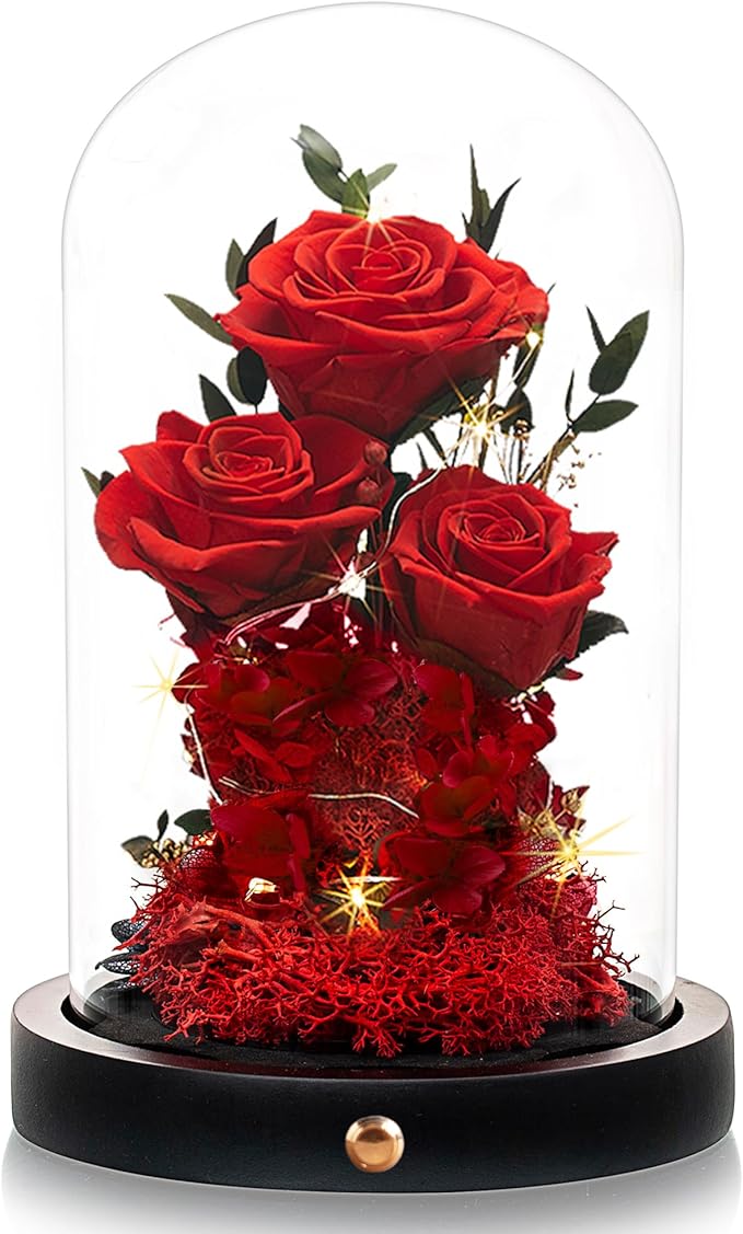Christmas Flowers Roses Gifts for Mom,Forever Real Preserved Roses in Glass Dome,Christmas Anniversary Thanksgiving Gifts for Wife Girlfriend Women Best Friend Grandma/Red Rose