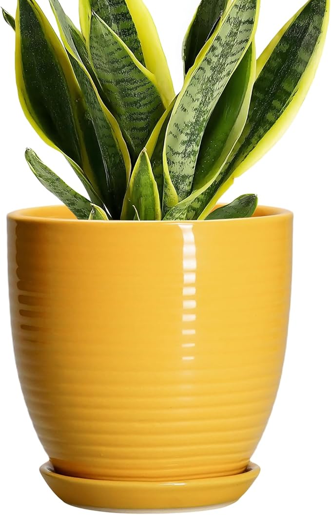 Ceramic Pots for Plants - 6 Inch Plant Pot for Indoor Plants, Ceramic Planter with Drainage Hole and Saucer, Round Decorative Flower Pots, Desk Home Decor, Plant Lover Gifts, Glossy-Yellow
