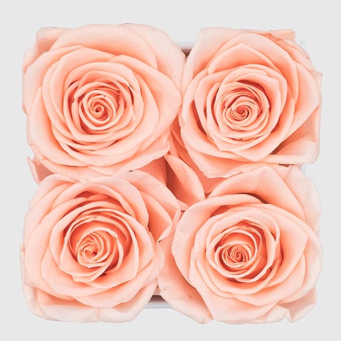Graceful Fleurs | Real Long Lasting Roses for Years | Preserved Fresh Flowers for Delivery Birthday | Birthday Gifts for Women | Forever Roses in a Box (Light Peach, White Box, 4 Roses)