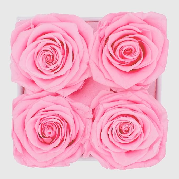 Graceful Fleurs | Real Long Lasting Roses for Years | Preserved Fresh Flowers for Delivery Birthday | Birthday Gifts for Women | Forever Roses in a Box (Pink, White Box, 4 Roses)