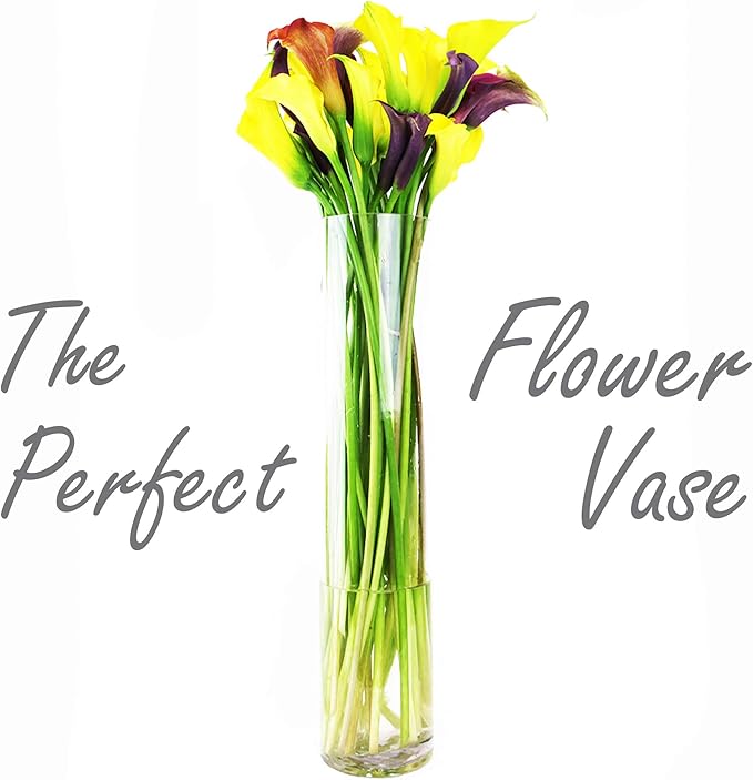 CYS EXCEL Cylinder Clear Glass Vase (H:26" D:6") | Multiple Size Choices Glass Flower Vase Centerpieces | Hurricane Floating Candle Holder Vase
