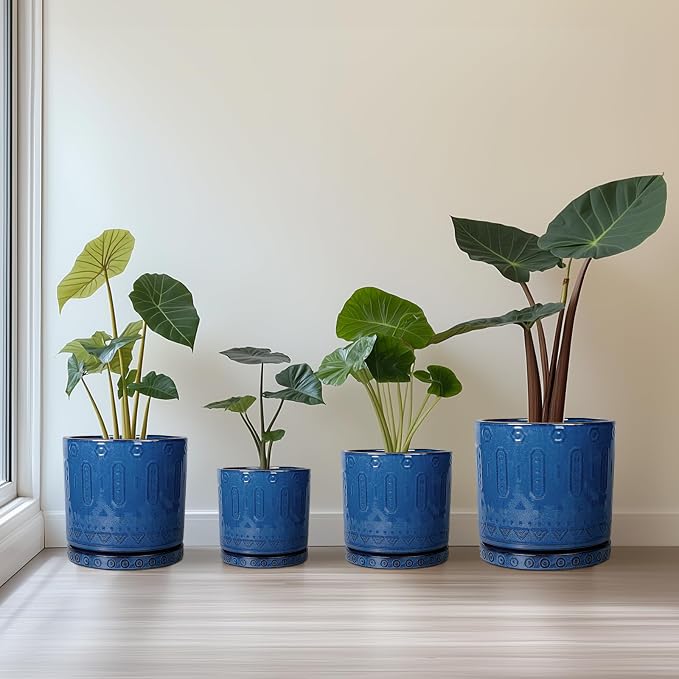 Eightpot Ceramic Planter, 6 Inch Plant Pot with Drainage Hole and Tray, Round Flower Pots for Indoor Outdoor Plants, Boho Decorative Pots for Plants, Bookshelf Decor, House Warming Gift, Blue