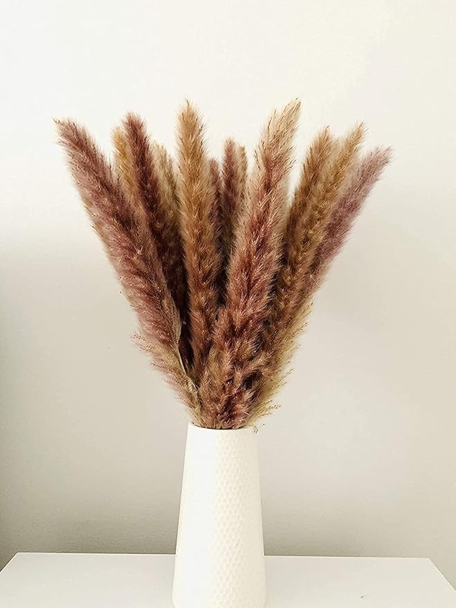 30 Pcs Pampas Grass ,17.7 inch/45cm Natural Dried Pampas Grass Branches Decor for Home Kitchen Garden Party Photographing Flower Arrangement Vase Decor (Natural)