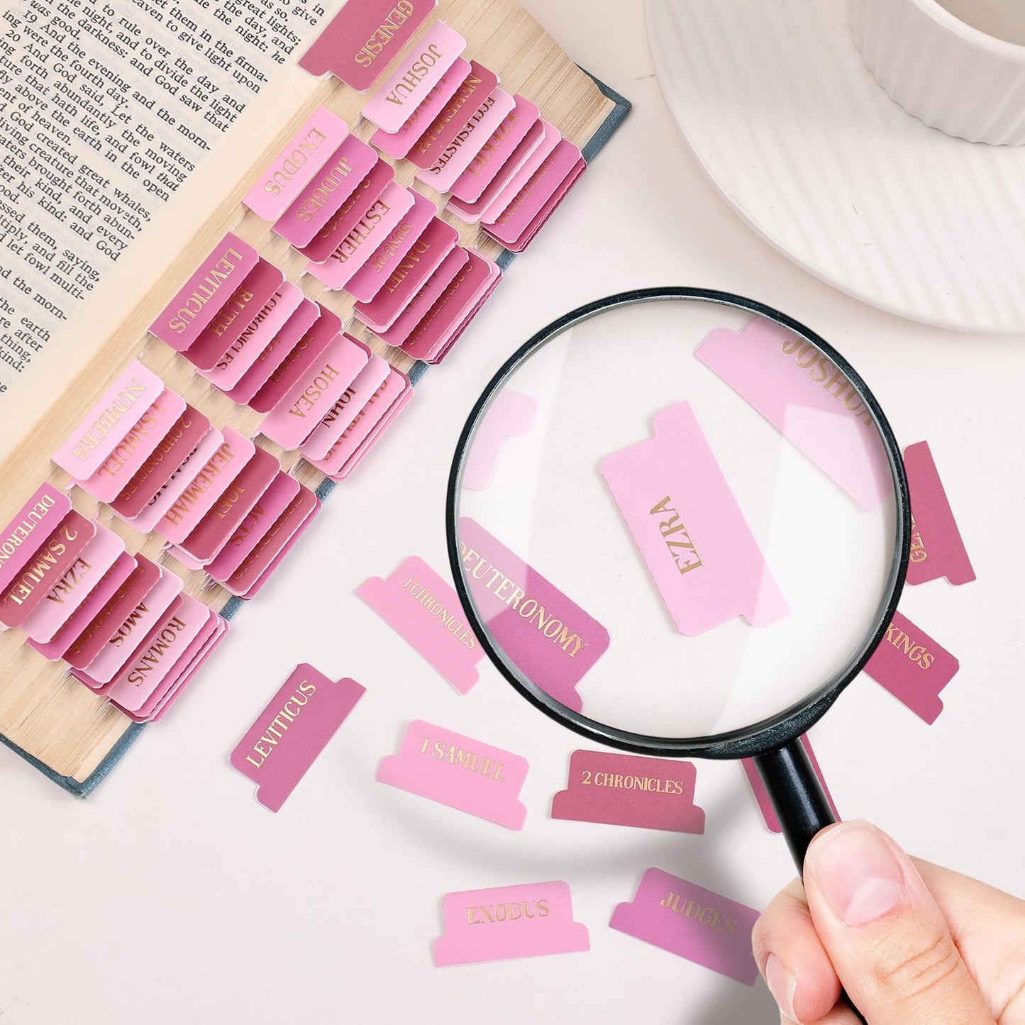 Skiennix Laminated Bible Tabs - Gold Foil Embossed Index Labels for Easy Navigation | 105 Chapters (Pink)