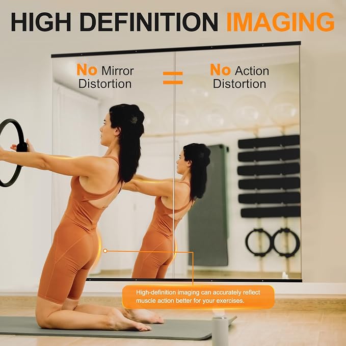 Delma Home Gym Mirror, 50''x25''x2PCS Black Wall Mounted Large Frameless Tempered Glass Wall Mirror for Home Gym, Garage, Bedroom, Bathroom