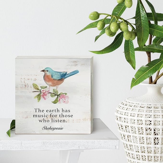the Earth Has Music Wood Box Sign Home Decor Rustic Bird Spring Wooden Box Sign Block Plaque for Wall Tabletop Desk Home Decoration Bird Lover Gift