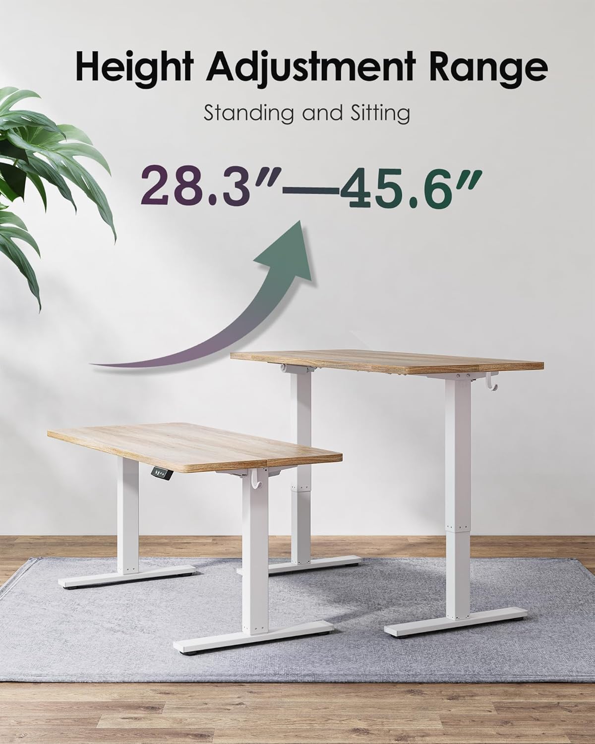 TIQLAB Electric Standing Desk - Height Adjustable Sit-Stand Workstation | 55 x 24 Inch, White Frame/Maple Top