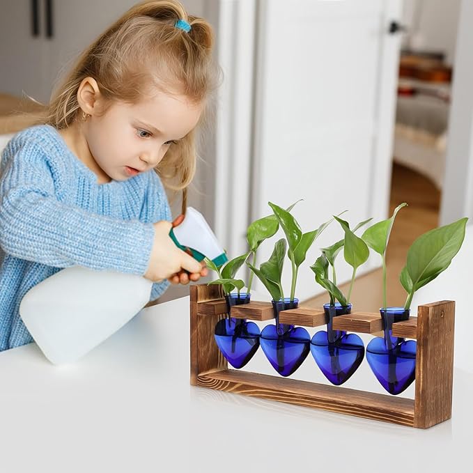 Heart Plant Terrarium Kit Gift for Women Plant Lover Glass Vases
