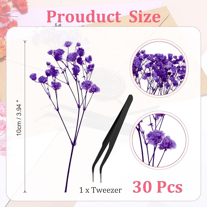 PATIKIL Mini Dried Gypsophila Flower Kit, 30Pcs 4 Inch Blue Purple Natural Pressed Floral Bundles with Tweezer for DIY Resin Crafts Gift Wedding Christmas Card Decor Flower Bouquets