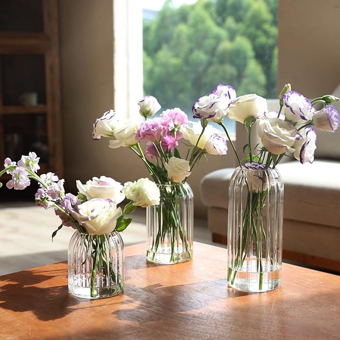 Bud Vases in Bulk Set of 6, Glass Small Vases for Flowers, Modern Cylinder Ribbed Vases for Wedding Centerpiece, Living Room Decorative, Home Decor