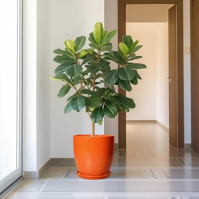 12 Inch Plant Pot, Ceramic Planters for Plants with Drainage and Saucer, Orange