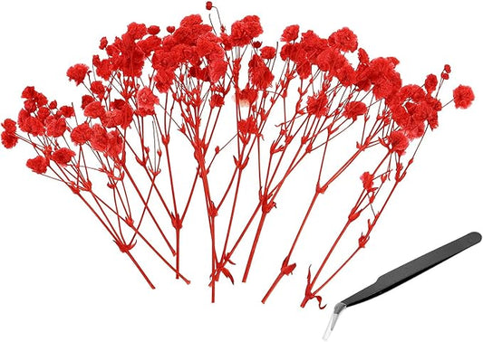 PATIKIL Mini Dried Gypsophila Flower Kit, 30Pcs 4 Inch Red Natural Pressed Floral Bundles with Tweezer for DIY Resin Crafts Gift Wedding Christmas Card Decor Flower Bouquets
