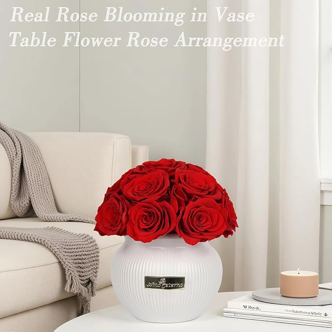 Preserved Roses,Weeding Flowers,Table Centerpiece Flowers,14Pcs Long Lasting Real Rose in Ceramic Vase,Table Flowers for Party,Wedding Decor,Birthday,Anniversary,Wedding Gifts for Her (Red)