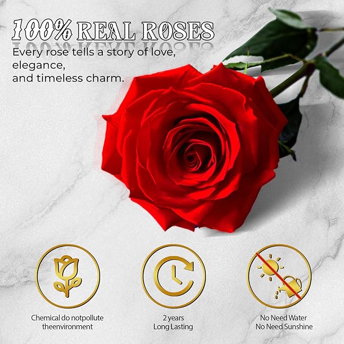 50 Forever Red Roses in a Box Preserved Flowers 100% Real Immortal Rose for Delivery Prime Graduation Birthday Home Decor Flower Eternal Rosas for Her Women Mom Wife Girlfriend