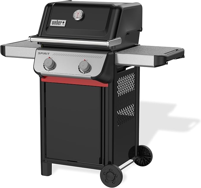 Weber Spirit E-210 Liquid Propane Gas Grill for Outdoor Cooking and BBQ, 2 Burners, Black