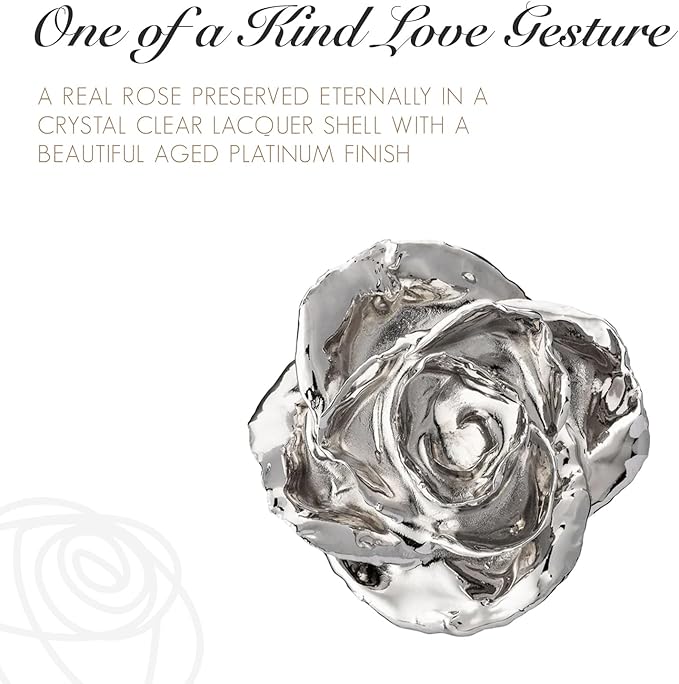 Forever Rose Enchanted Preserved with Real Platinum Rose Lasts Forever | Includes Wood Base & Glass Dome | Platinum Dipped Rose Assembled by Hand in The USA | Romantic Gifts for Women