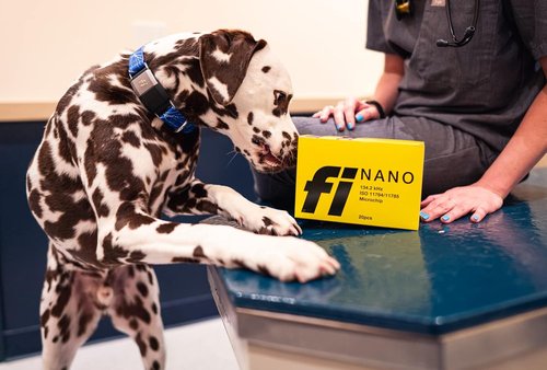 Fi Nano Microchip for Dogs - 20-Pack with Free Lifetime Registration | Universally Scannable, Small Size