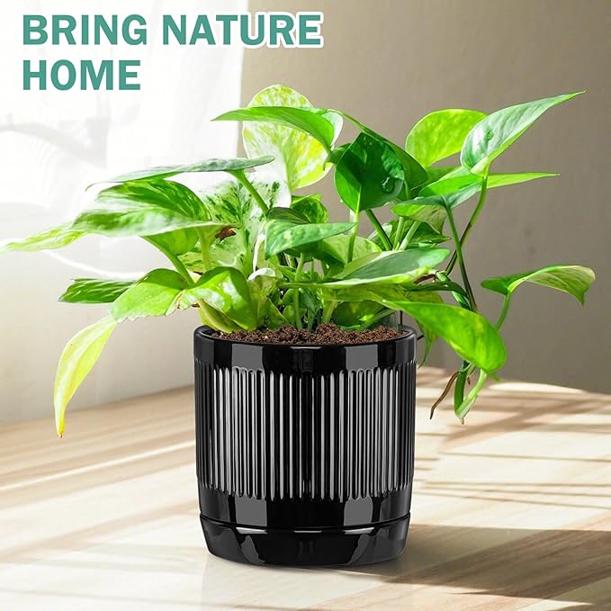 Vanavazon 6 Inch Glazed Ceramic Plant Pots with Drainage Hole and Saucer, Cylinder Indoor Planters for All House Plants, Modern Decor for Home & Office, Set of 2 (Black)
