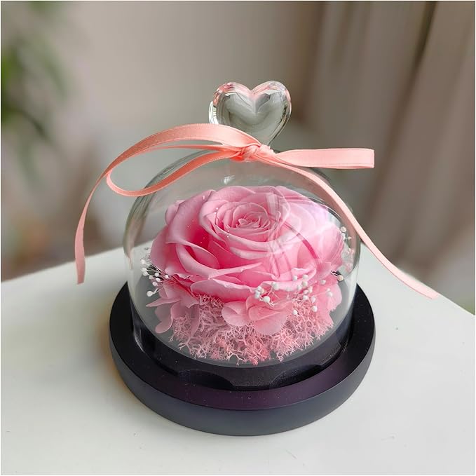 Flowers for Delivery - Forever Flowers Rose in Glass Dome with LED Lights, Large Size Preserved Roses Gifts for Women, Mom, Wife, Friend -Birthday, Anniversary, Valentine's Day Gift (Pink)