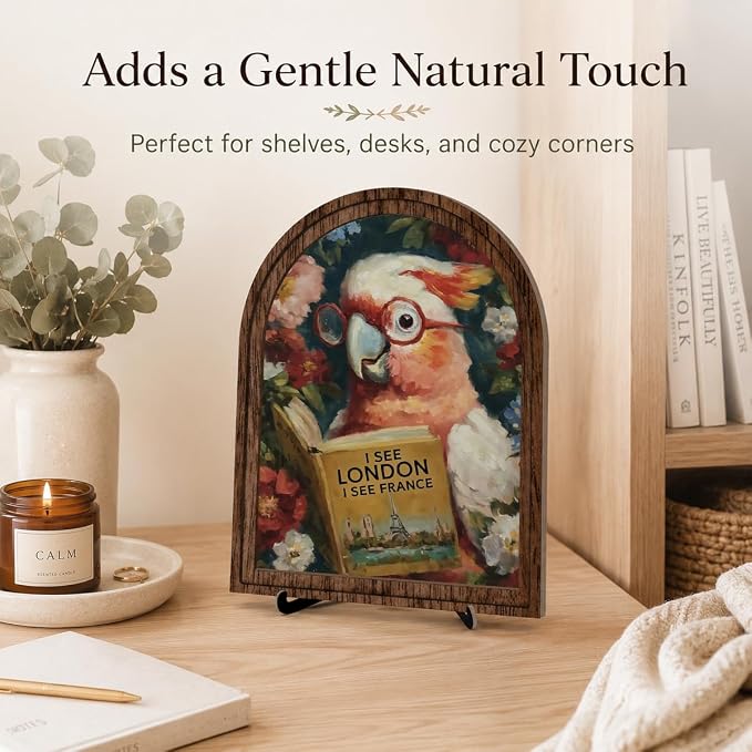 Book Lover Decor Arched Wooden Frame Tabletop Sign, Funny Reading Bird Bookshelf Decor for Desk Shelf and Reading Nook, Vintage Floral Parrot Art Accent