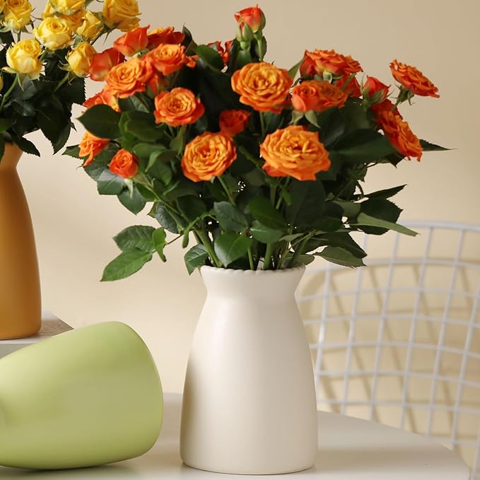 hjn White Flower Vase – Minimalist Ceramic Vase, Decor Vases for Flowers/Centerpieces/Table/Office/Living Room/Bookshelf/Mantel/(Cream White)