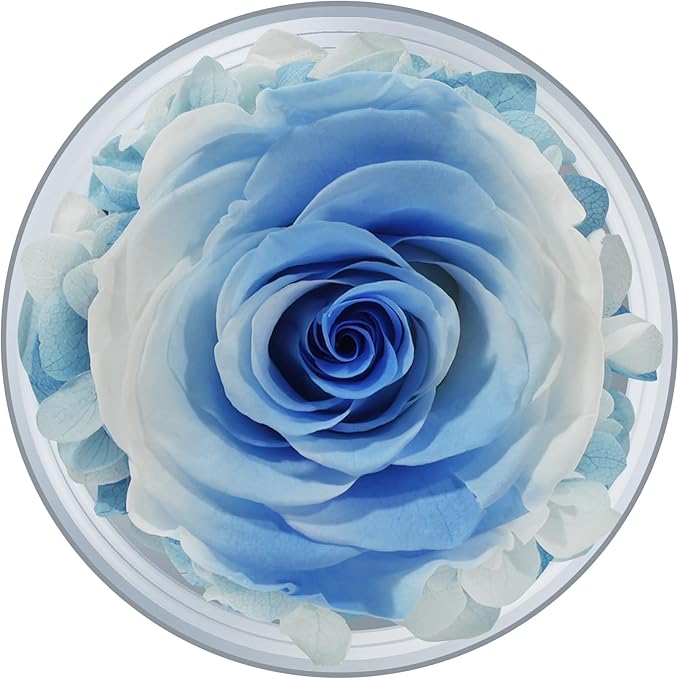 Sunia Preserved Flower Rose Gift for Women - Mother's Day Birthday Gifts for Mom Wife Grandma, Glass Angel Figurines Forever Real Roses Gifts for Her Valentine Day Thanksgiving﻿ (White Blue)