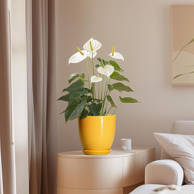Ceramic Pots for Plants - 6 Inch Plant Pot for Indoor Plants, Ceramic Planter with Drainage Hole and Saucer, Round Decorative Flower Pots, Desk Home Decor, Plant Lover Gifts, Glossy-Yellow