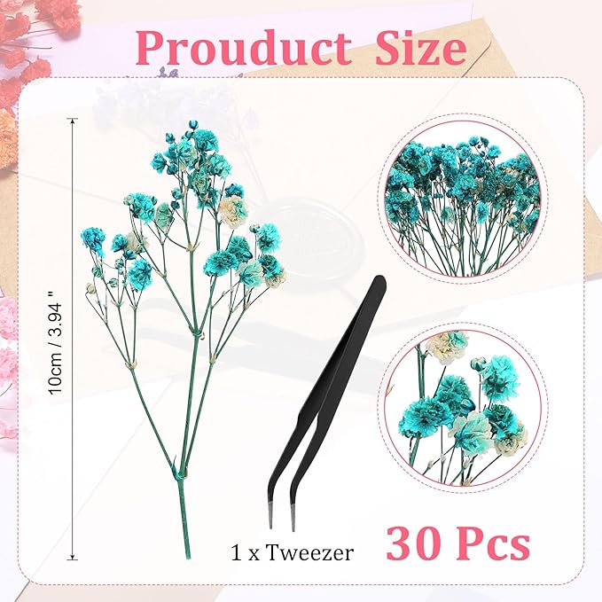 PATIKIL Mini Dried Gypsophila Flower Kit, 30Pcs 4 Inch Mist Blue Natural Pressed Floral Bundles with Tweezer for DIY Resin Crafts Gift Wedding Christmas Card Decor Flower Bouquets