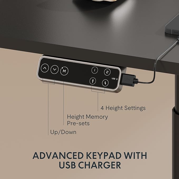 FLEXISPOT E6 Pro Oval Leg Dual Motor 3 Stages Standing Desk 48x30 Inch Whole-Piece Board Electric Height Adjustable Electric Sit Stand Up Desk 150KG Load Capacity (Black Frame + Black Desktop)