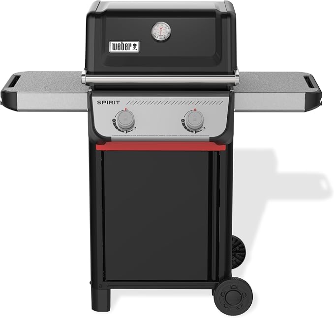 Weber Spirit E-210 Liquid Propane Gas Grill for Outdoor Cooking and BBQ, 2 Burners, Black