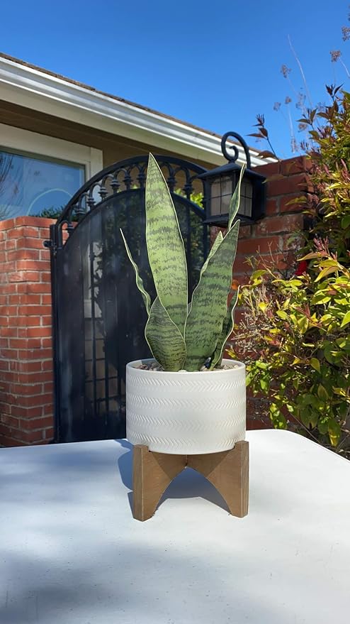 Flora Bunda 5 Inch Arrow Ceramic Planter on Wood Stand Mid Century,Matte White 5"