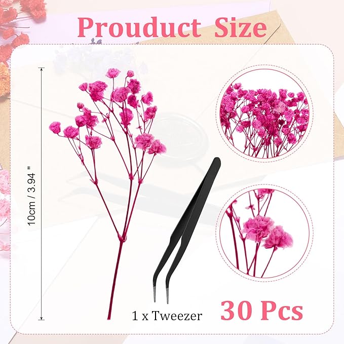 PATIKIL Mini Dried Gypsophila Flower Kit, 30Pcs 4 Inch Rose Red Natural Pressed Floral Bundles with Tweezer for DIY Resin Crafts Gift Wedding Christmas Card Decor Flower Bouquets