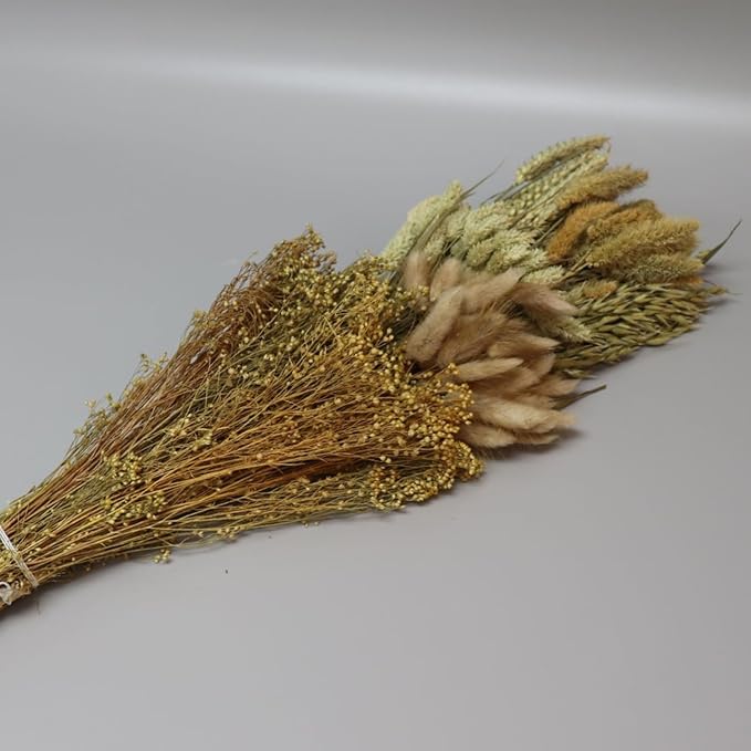 Dried Flower Bouquet & Floral Mix Premium Hand-Packed Natural Dried Plants for Home Decor, Bouquets, and Arrangements – Made in Italy (Natural)
