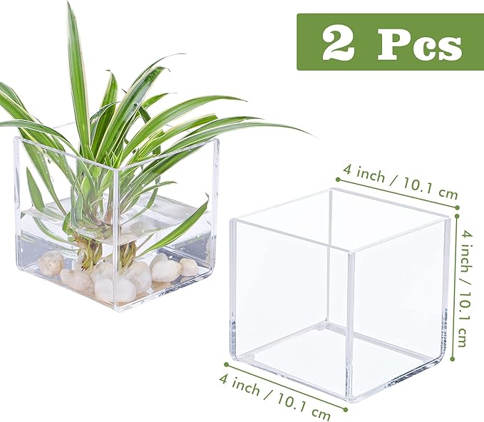 Kamehame Clear Vase 2 Pcs Acrylic Vase, 4''x4''x4'' Succulent Pots Planters, Square Cube Vases for Centerpieces, Flower Vase for Home Office Wedding Floral Decor, KA22001