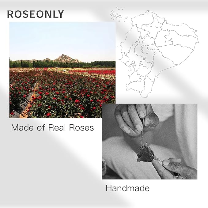 Preserved Rose Romantic Gifts for Wife Female Womens Real Red Roses Flowers for Valentine's Day Christmas Birthday Mother's Day Anniversary (Mini)
