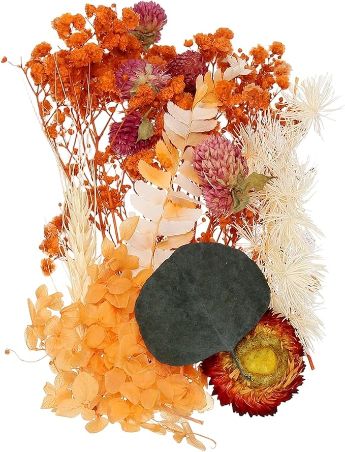 uxcell Natural Dried Flower Set, Dried Pressed Flowers Dry Leaves Bulk Natural Plants Kit Dried Flower Bouquets for Scrapbooking Crafts Resin Jewelry Candle (Orange)