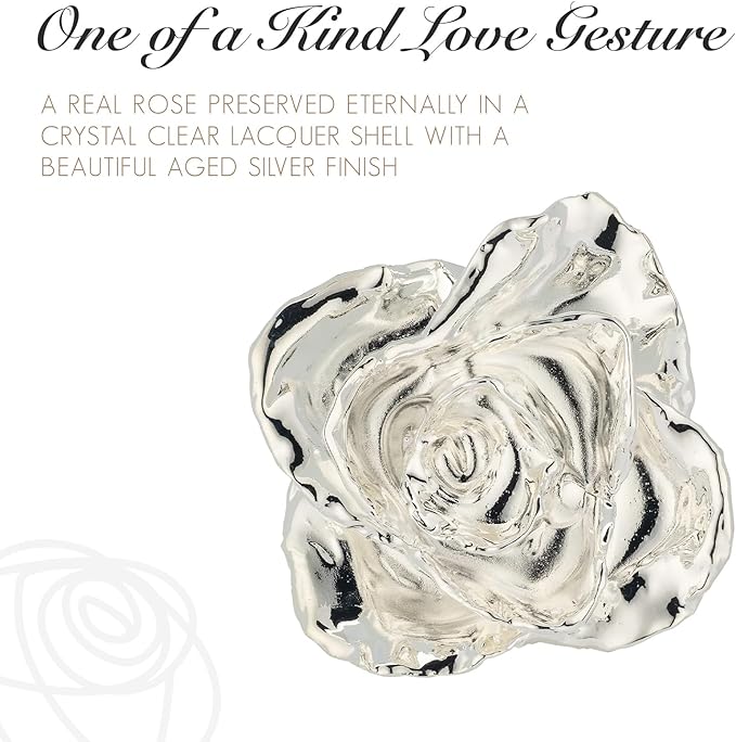 Forever Rose Enchanted Preserved with Real Silver Rose Lasts Forever | Includes Wood Base & Glass Dome | Silver Dipped Rose Assembled by Hand in The USA | Romantic Gifts for Women